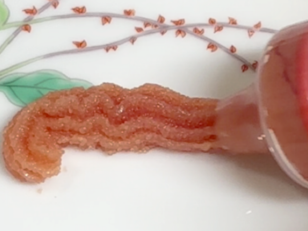 押し出すたらこペーストからたらこがペースト状になってでている