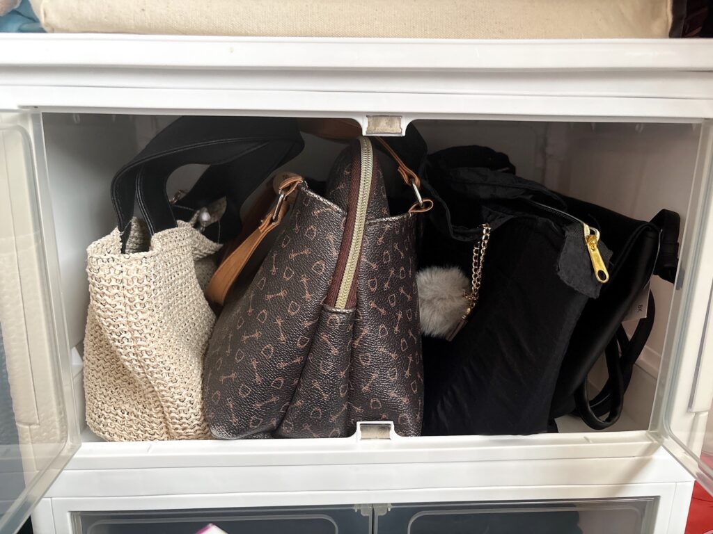 ダイソーのおすすめ収納ケースにバッグを収納