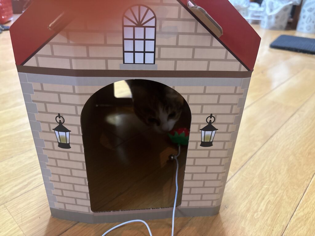 ペット用ハウスの中に少し猫が入った